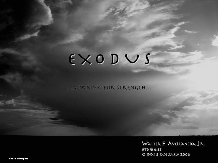Exodus artwork